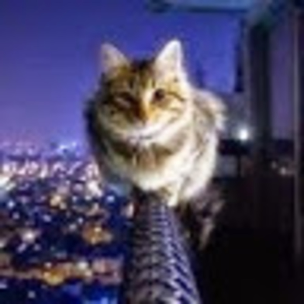 Meet your Posher, Victoria